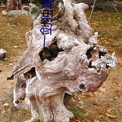 一剑独尊百度百科 （汹涌彭湃）