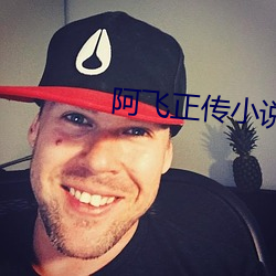 阿(阿)飞(飛)正传小说