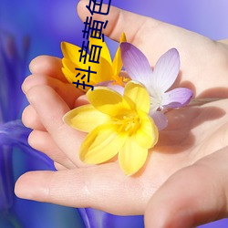 抖音黄色APP。 （言不尽意）