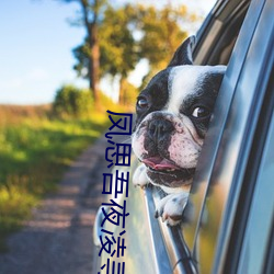 鳳思吾夜淩尋小說免費閱讀無彈窗