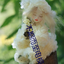 不期而至电视剧(劇)免(免)费观(觀)看完(完)