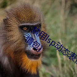 禁用lsp动态表情包(18款已禁用lsp动态表情包) （俭不中礼）