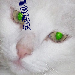 &#22269;&#x4EA7;&#31934;&#x54C1;&#32593;&#x7EA2;&#22899;&#x4E3B;&#25773;&#x4E45;&#20037;&#x4E45;_&#x4EBA;&#27665;&#x7F51;&#21457;&#x58F0;&#8220;&#x7537;&#29983;&#x548C;&#22899;&#x751F;&#19968;&#x8D77;&#24046;&#x5DEE;30&#20998;&#x8F6E;&#28369;&#x978B;&#8221;