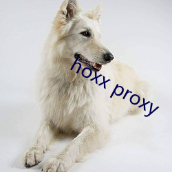 hoxx proxy