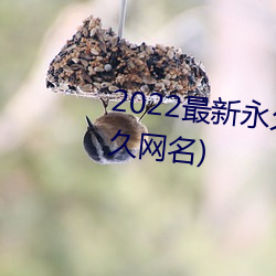 2022最新永久地域网名(成年人永久网名) 入住