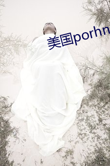 美國porhnub官網