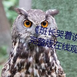 《班长哭着说不能再深了 电影完整版在线观看 家反宅乱）