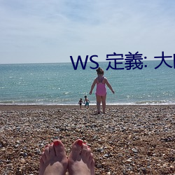 WS 定義: 大的黑(hēi)人女性(xìng)