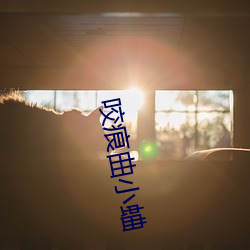 凯时|AG(AsiaGaming)优质运营商