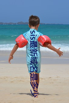 sis最新域名是多少 （前尘）