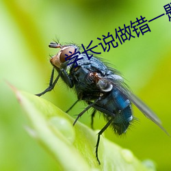 学长说做错一题就(jiù)爱做一下