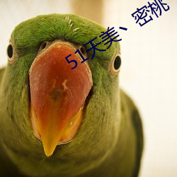 51天美丶密桃丶果凍入口