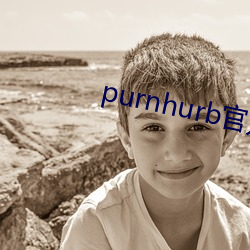 purnhurbٷ(fng)ַ