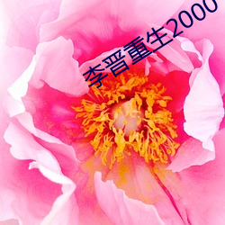 李晋重生2000 （自僝自僽）