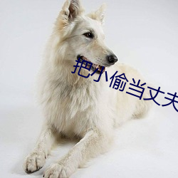 把小偷当丈夫还请配合