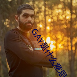 GAY是什么意思