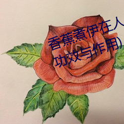 香蕉煮伊在人线2022(香蕉煮熟吃功效与作用)