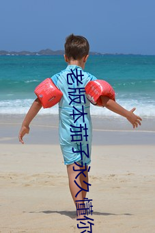 老版(bǎn)本茄子永久懂你(nǐ)更多