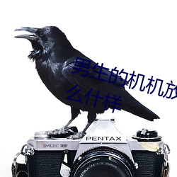 男生(shēng)的(de)机机放到(dào)女生的机机里面会么(me)什样