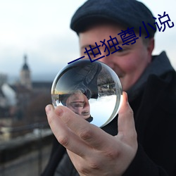 一世独尊小说