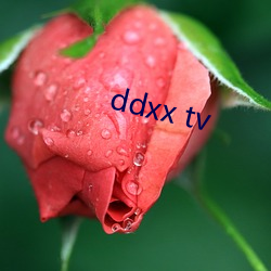 ddxx tv ף