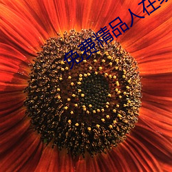 免费精品人在线二线三线区 （深透）