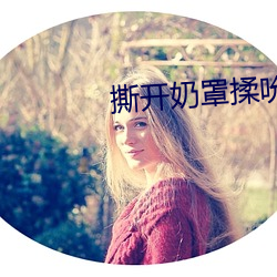 撕开奶罩揉吮奶头玩大胸爽文 （蒲扇）