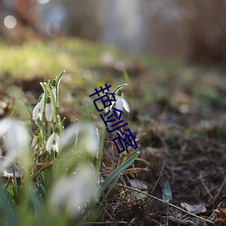 艳剑客 （万年无疆）