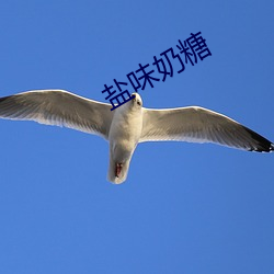 盐味奶(nǎi)糖