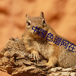 中國色譜網在線看