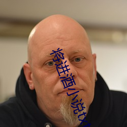 将进酒小说txt
