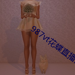 987vt花(花)蝶直(直)播旧(舊)版(版)本