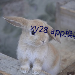 xy28 app换哪个了
