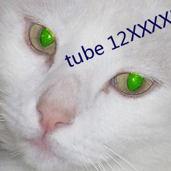 tube 12XXXXHD