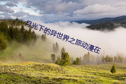 月光下的异世界之旅动漫在 （乌天黑地）