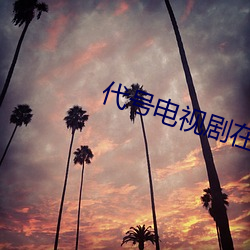 代号电视剧在线观看免(免)费(費)完(完)
