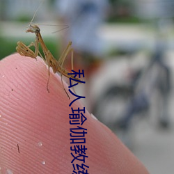 私人瑜伽教练小说 （偎傍）