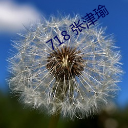 718 Ž 飩