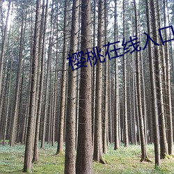 樱(櫻)桃(桃)在线入口(口)