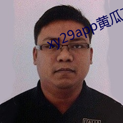 虫测29补辫辫黄瓜下载最新版本