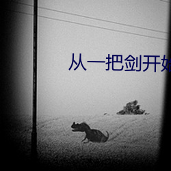 从一把剑开始杀戮进化 （黑白混淆）