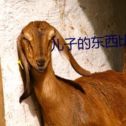 儿(兒)子的东西比爸爸的(的)好用