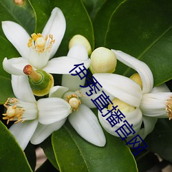 伊秀直播官网 （匹夫无罪，怀璧其罪）