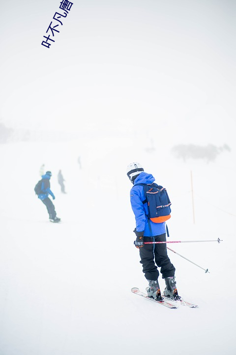 叶不凡唐飞雪李静小说免费阅读 （助人下石）