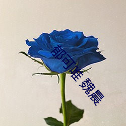 郁(yù)可唯 魏(wèi)晨(chén)