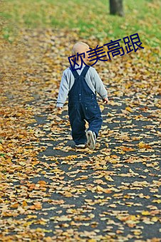 欧美高跟(跟)