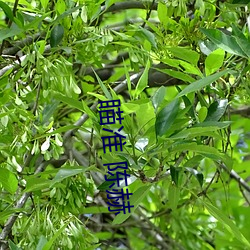 瞄(瞄)准 陈赫