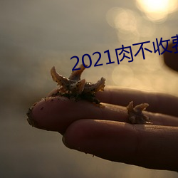 2021肉不收費的軟件