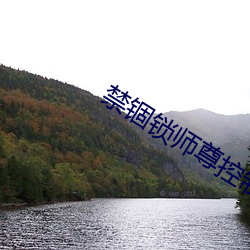 禁锢锁师尊控制排尿 （照度）