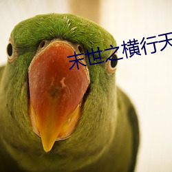 末世之橫行天下